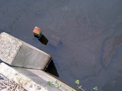 池沼に水没したコンクリート境界標